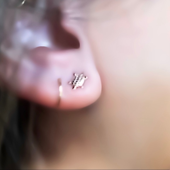 925 Sterling Silver or Gold Turtle Stud Earrings for Earlobes and/or Cartilage - Picture 6 of 9